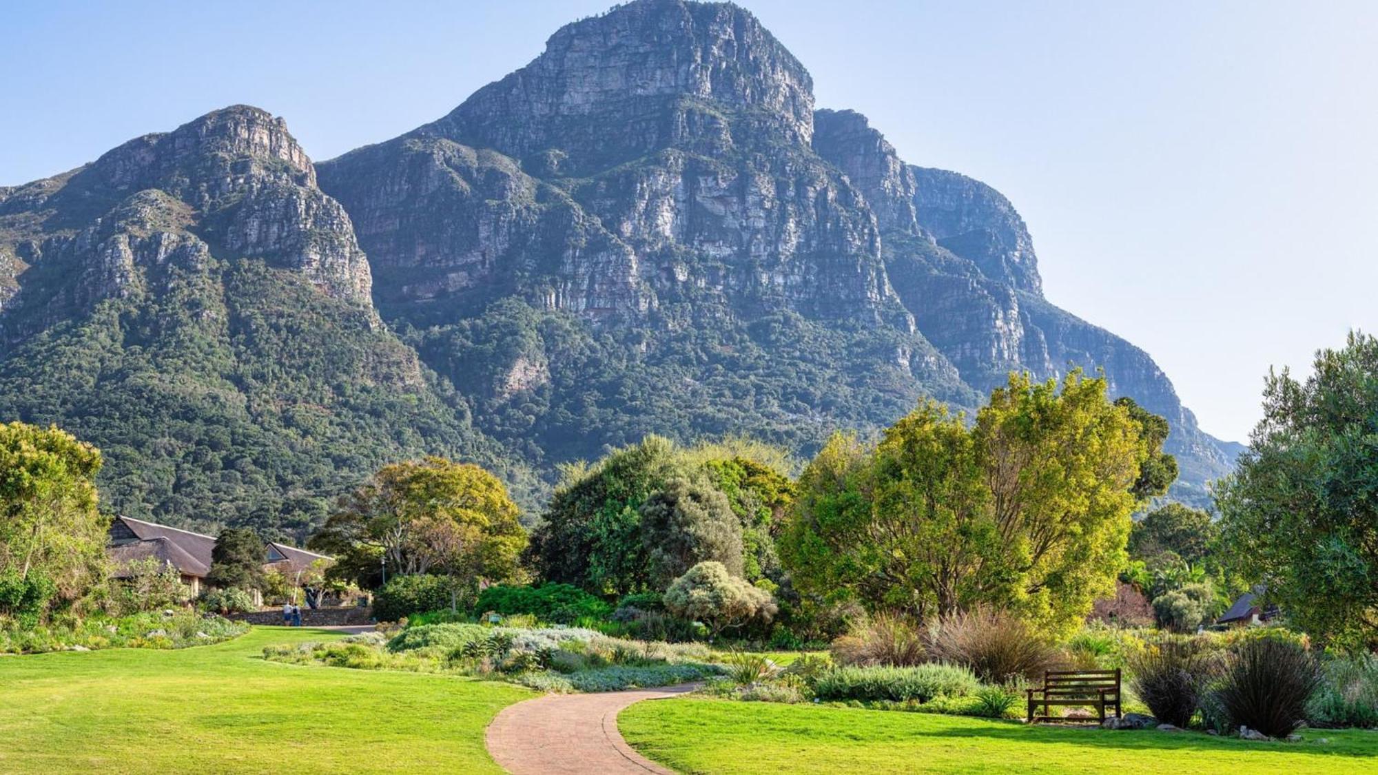 Holiday Inn Express Cape Town City Centre By Ihg Ngoại thất bức ảnh